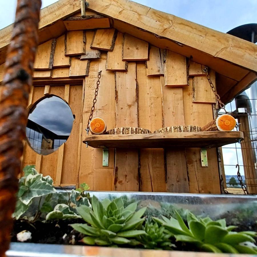 La Cabane Du Coing Візе Екстер'єр фото